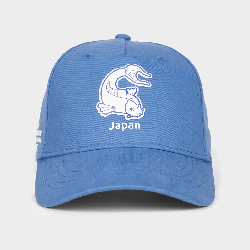 Curve Cap Japan AFC Asian Cup 2027 – Blue