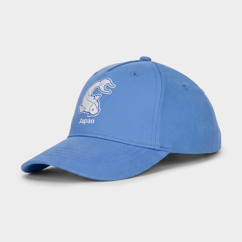 Curve Cap Japan AFC Asian Cup 2027
